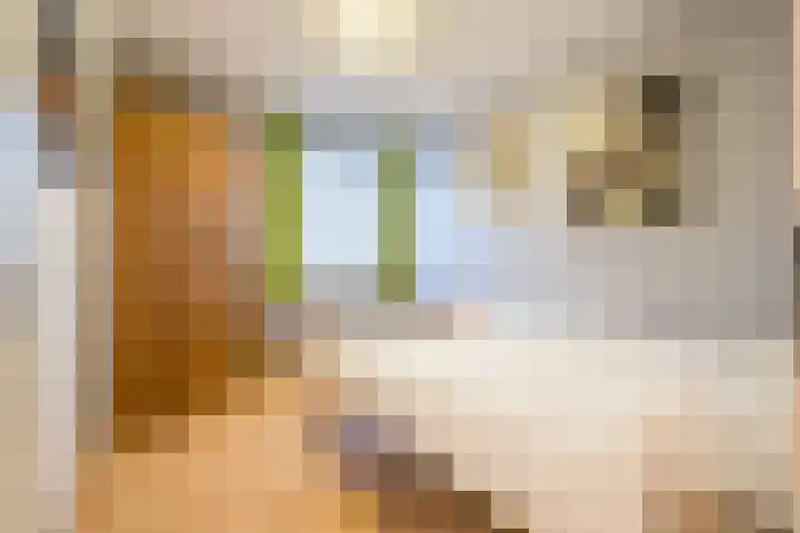 Johannes Vermeerhage 15 Nieuwegein thumbnail 14