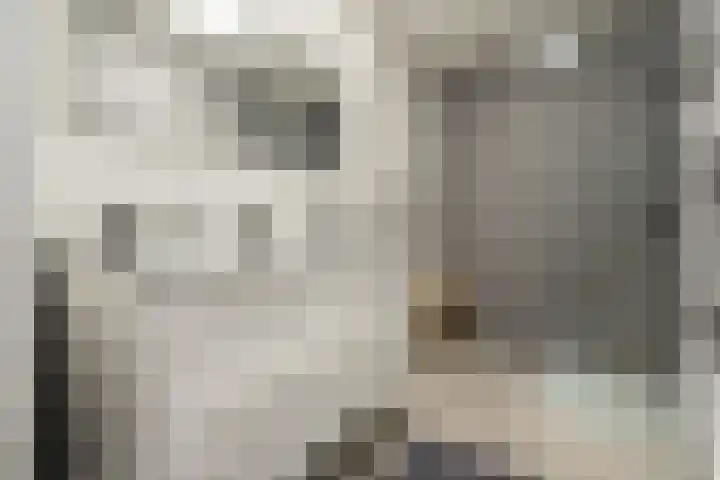 Johannes Vermeerhage 15 Nieuwegein thumbnail 16