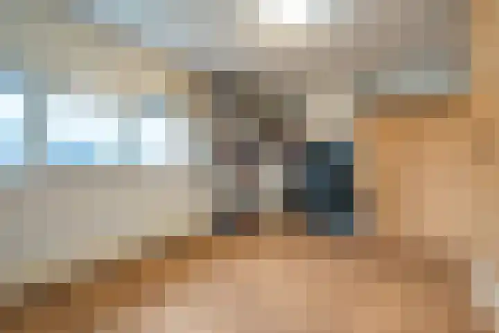 Johannes Vermeerhage 15 Nieuwegein thumbnail 18