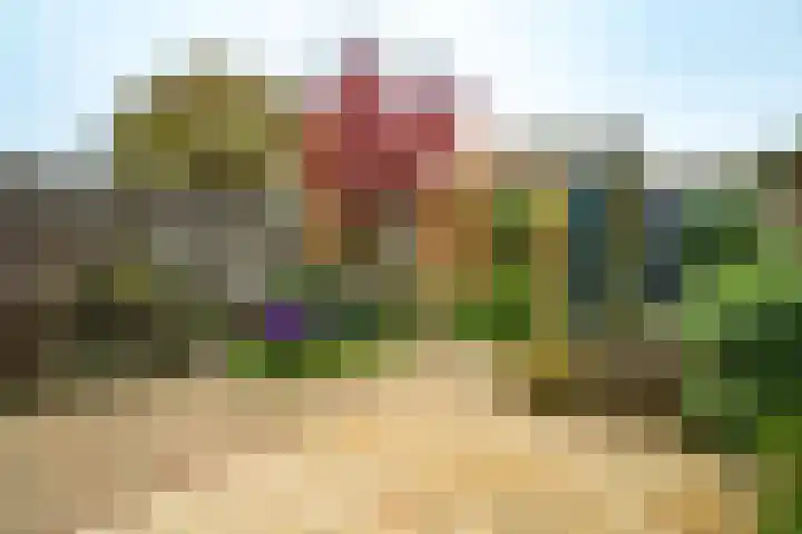 Johannes Vermeerhage 15 Nieuwegein thumbnail 23
