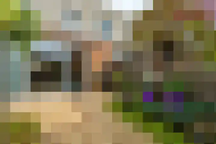 Johannes Vermeerhage 15 Nieuwegein thumbnail 25
