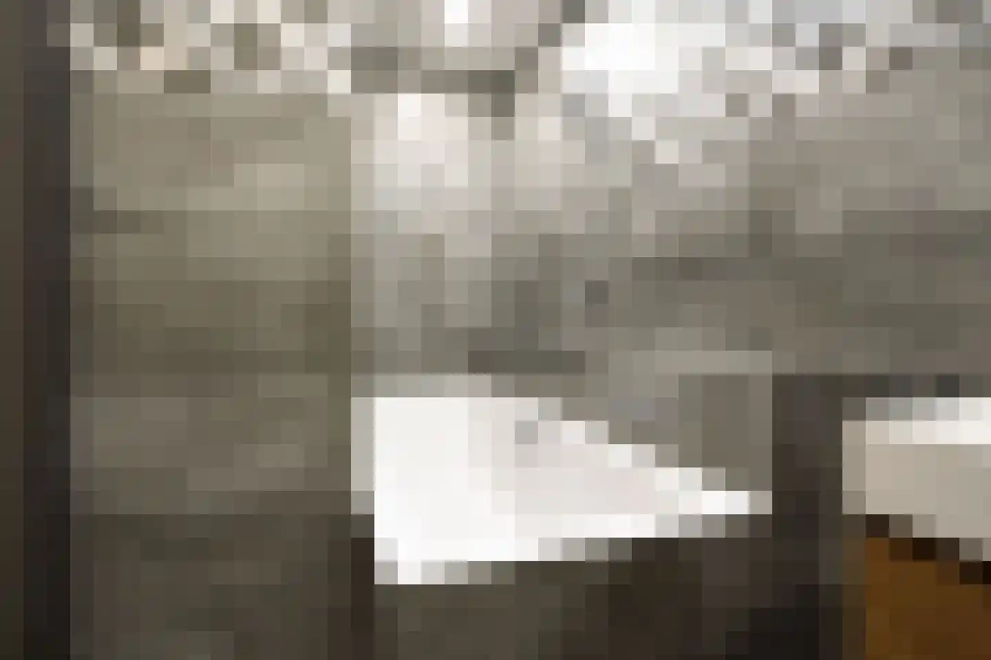 Johannes Vermeerhage 17 Nieuwegein thumbnail 20