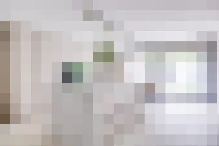 Johannes Vermeerhage 24 Nieuwegein thumbnail 10