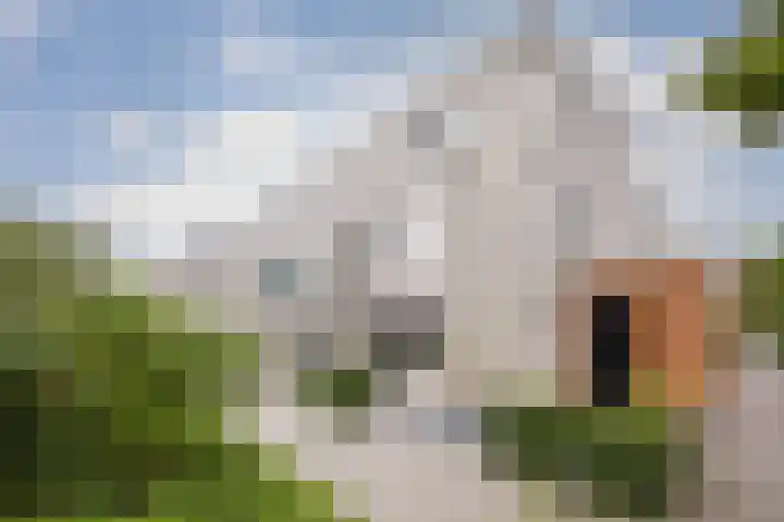 Johannes Vermeerhage 24 Nieuwegein thumbnail 100