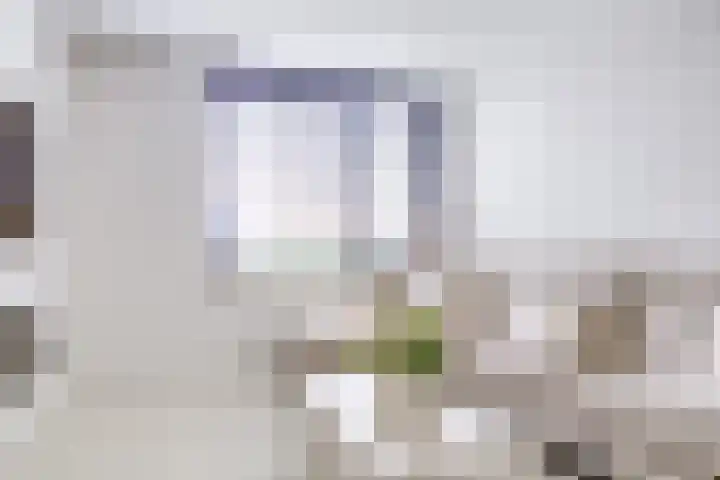 Johannes Vermeerhage 24 Nieuwegein thumbnail 14