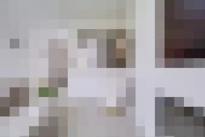 Johannes Vermeerhage 24 Nieuwegein thumbnail 16