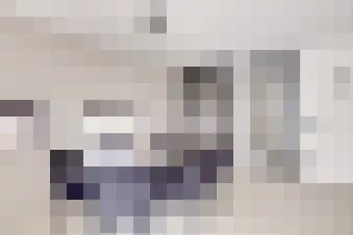 Johannes Vermeerhage 24 Nieuwegein thumbnail 17