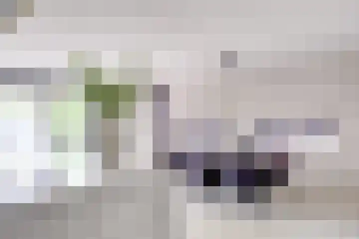 Johannes Vermeerhage 24 Nieuwegein thumbnail 18
