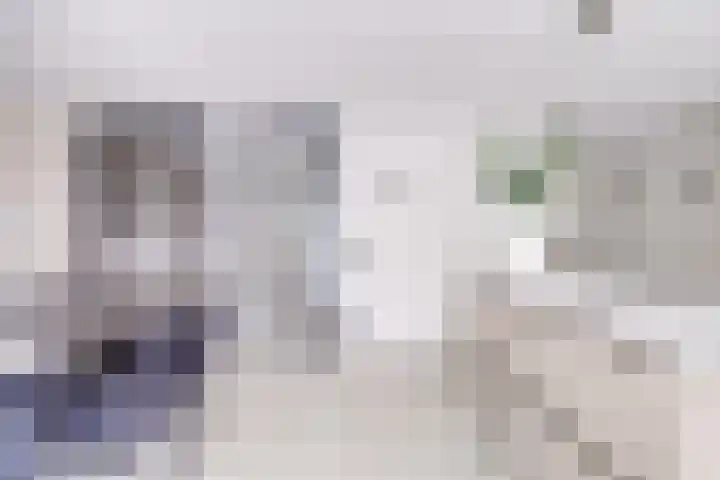 Johannes Vermeerhage 24 Nieuwegein thumbnail 21
