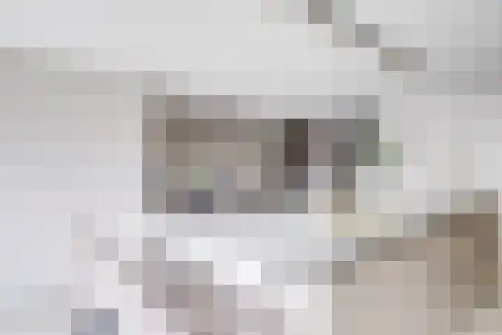 Johannes Vermeerhage 24 Nieuwegein thumbnail 22