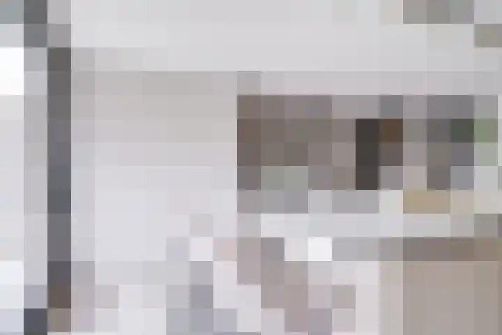 Johannes Vermeerhage 24 Nieuwegein thumbnail 23