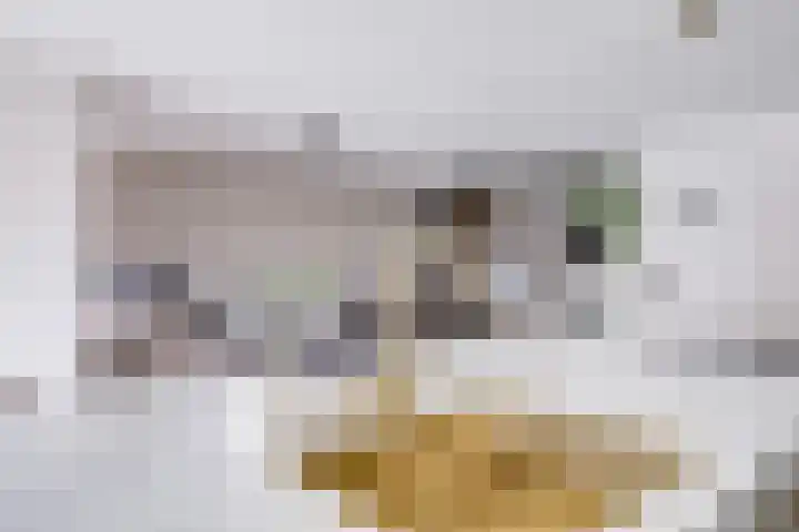 Johannes Vermeerhage 24 Nieuwegein thumbnail 24