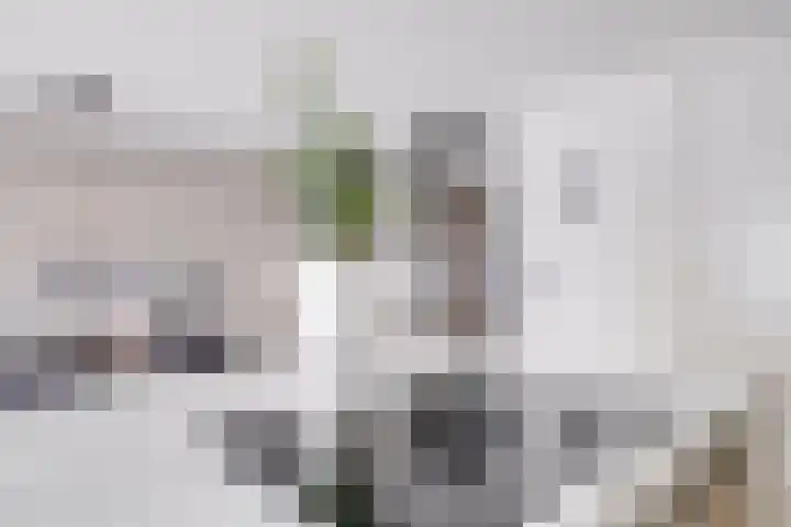 Johannes Vermeerhage 24 Nieuwegein thumbnail 25