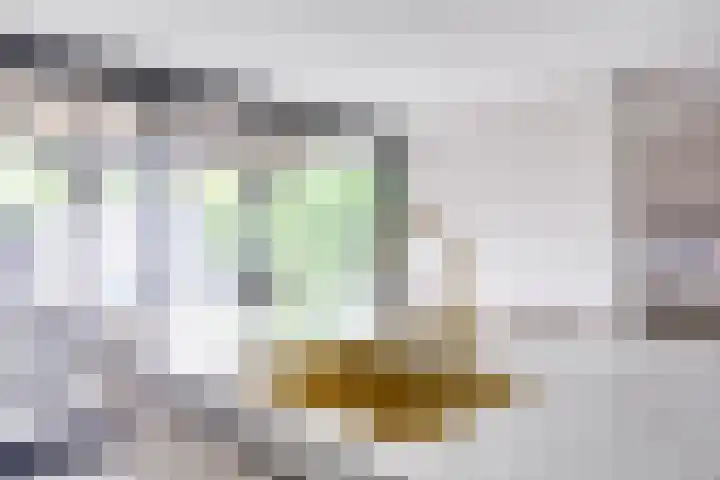 Johannes Vermeerhage 24 Nieuwegein thumbnail 26