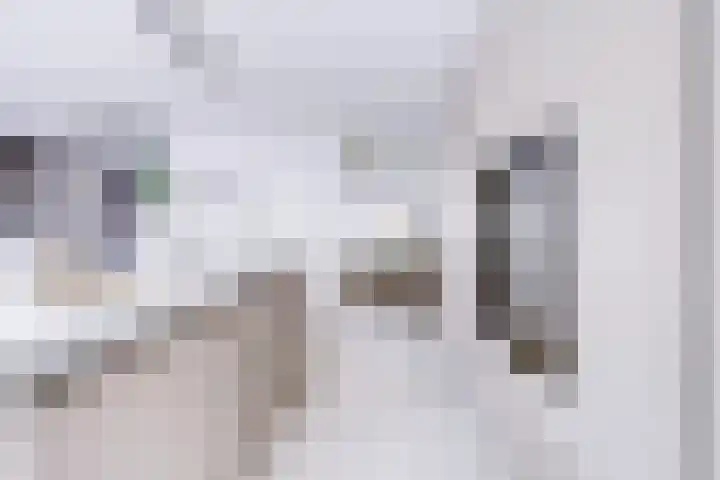 Johannes Vermeerhage 24 Nieuwegein thumbnail 28