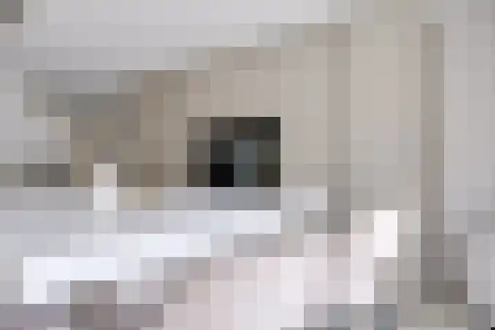 Johannes Vermeerhage 24 Nieuwegein thumbnail 30