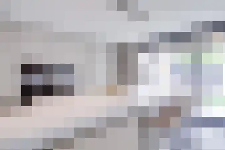 Johannes Vermeerhage 24 Nieuwegein thumbnail 33