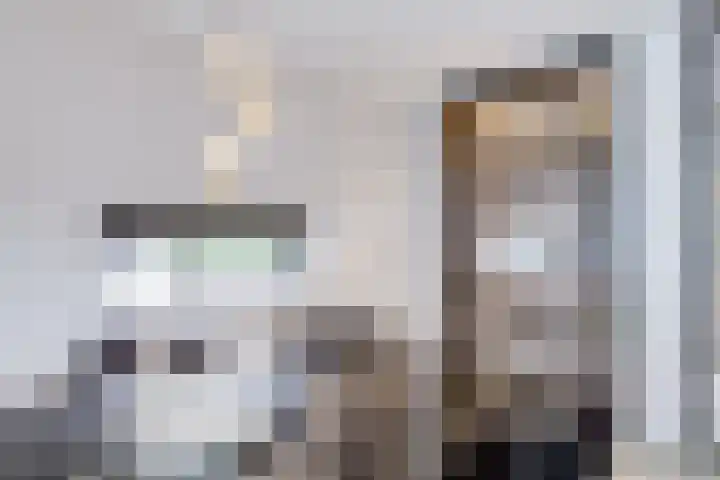 Johannes Vermeerhage 24 Nieuwegein thumbnail 36