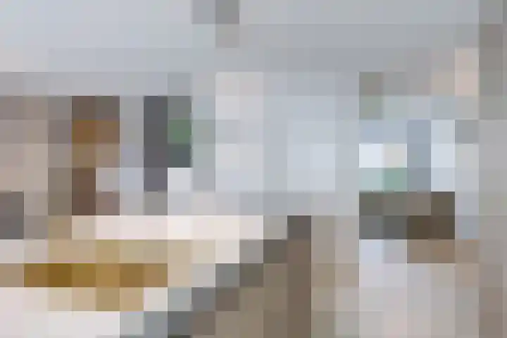 Johannes Vermeerhage 24 Nieuwegein thumbnail 39