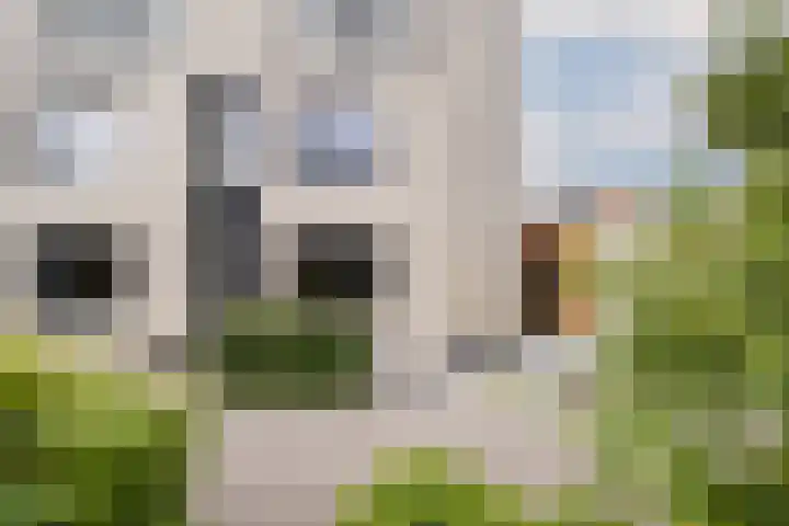 Johannes Vermeerhage 24 Nieuwegein thumbnail 4