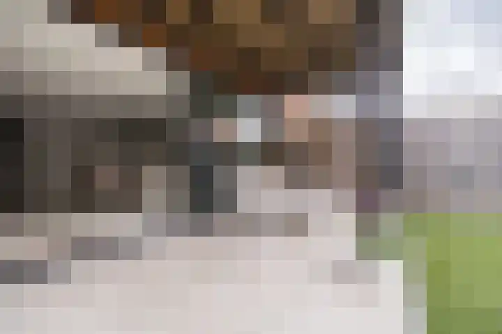 Johannes Vermeerhage 24 Nieuwegein thumbnail 41