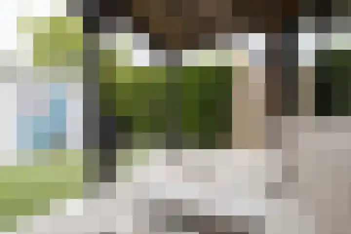 Johannes Vermeerhage 24 Nieuwegein thumbnail 45