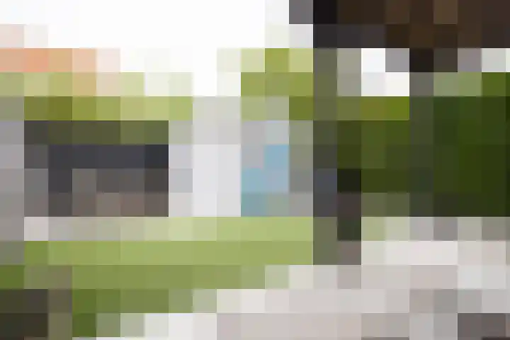 Johannes Vermeerhage 24 Nieuwegein thumbnail 46