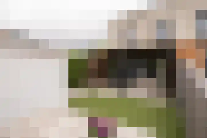 Johannes Vermeerhage 24 Nieuwegein thumbnail 48