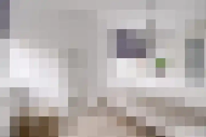 Johannes Vermeerhage 24 Nieuwegein thumbnail 53