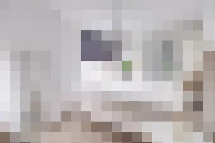 Johannes Vermeerhage 24 Nieuwegein thumbnail 54