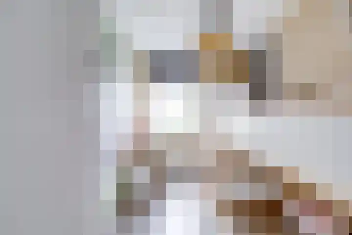 Johannes Vermeerhage 24 Nieuwegein thumbnail 59