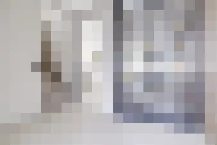Johannes Vermeerhage 24 Nieuwegein thumbnail 6