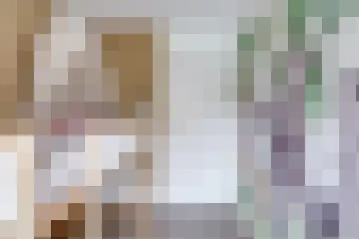 Johannes Vermeerhage 24 Nieuwegein thumbnail 61
