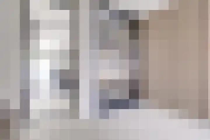 Johannes Vermeerhage 24 Nieuwegein thumbnail 7