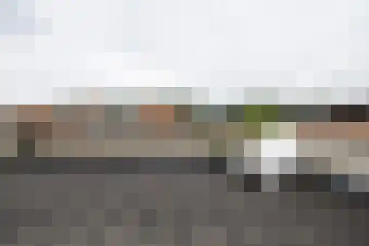 Johannes Vermeerhage 24 Nieuwegein thumbnail 72