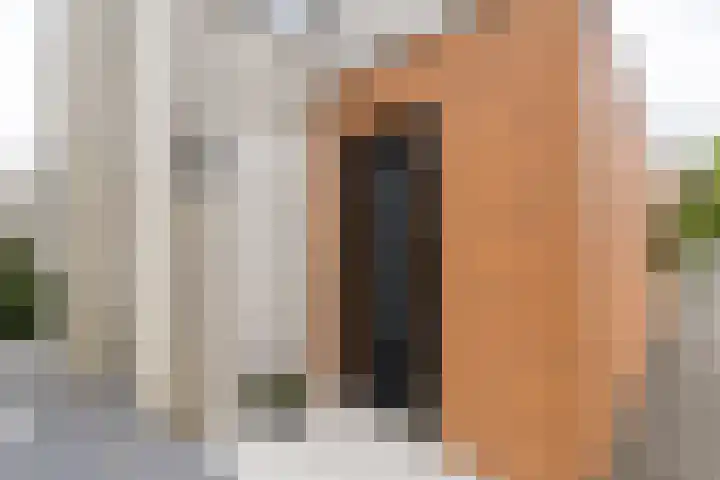 Johannes Vermeerhage 24 Nieuwegein thumbnail 74