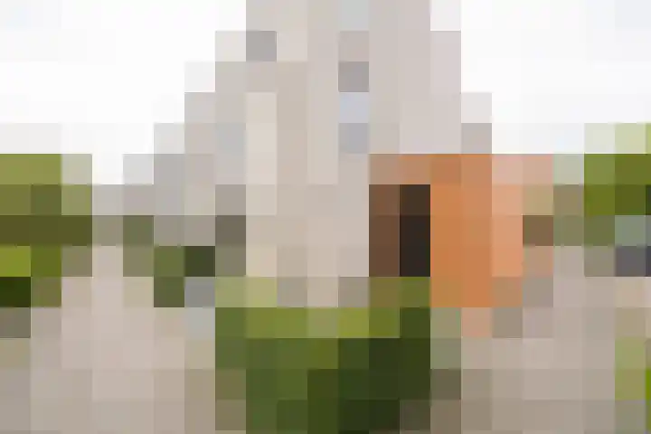 Johannes Vermeerhage 24 Nieuwegein thumbnail 75