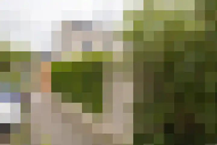 Johannes Vermeerhage 24 Nieuwegein thumbnail 77