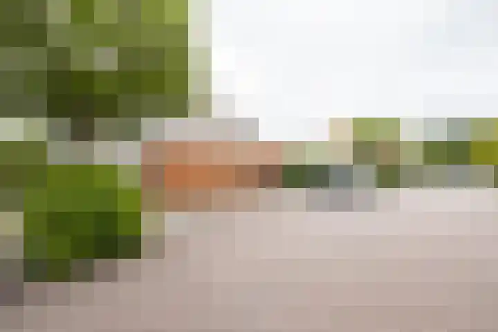 Johannes Vermeerhage 24 Nieuwegein thumbnail 80