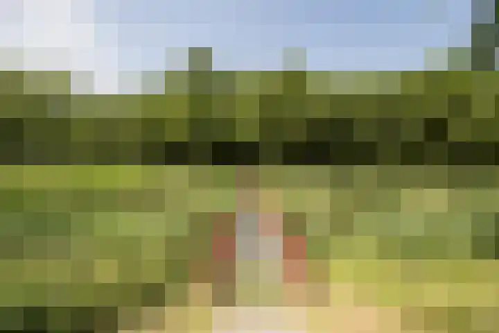 Johannes Vermeerhage 24 Nieuwegein thumbnail 83