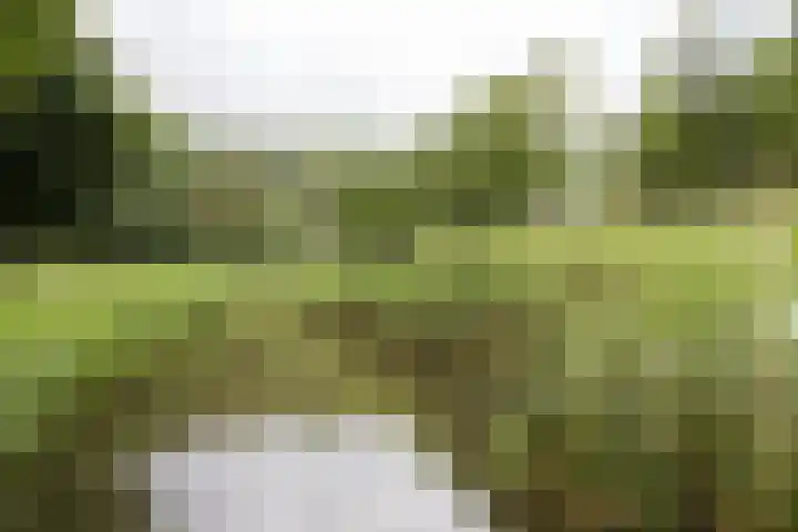 Johannes Vermeerhage 24 Nieuwegein thumbnail 84