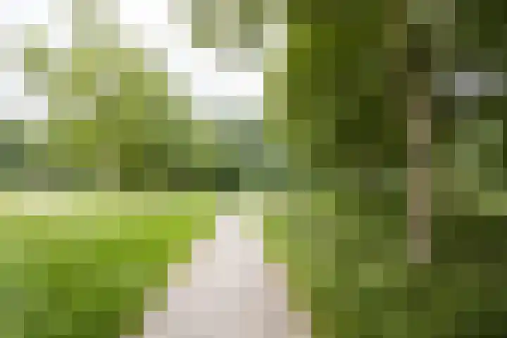 Johannes Vermeerhage 24 Nieuwegein thumbnail 85