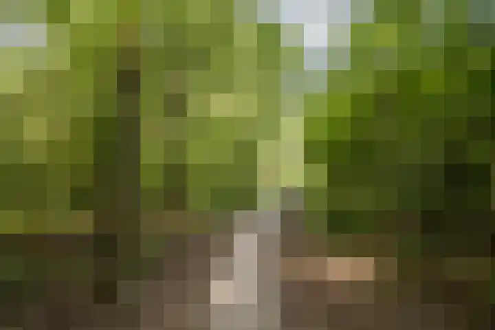 Johannes Vermeerhage 24 Nieuwegein thumbnail 86