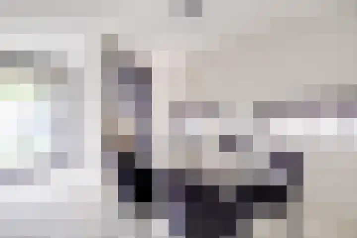 Johannes Vermeerhage 24 Nieuwegein thumbnail 9