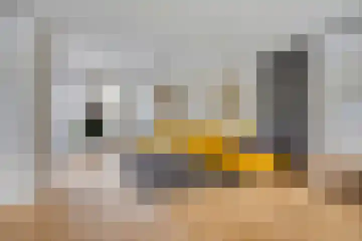 Johannes Vermeerhage 27 Nieuwegein thumbnail 13