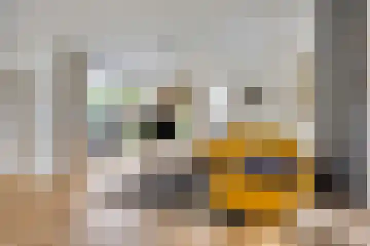 Johannes Vermeerhage 27 Nieuwegein thumbnail 14