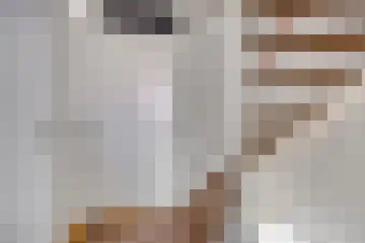 Johannes Vermeerhage 27 Nieuwegein thumbnail 33