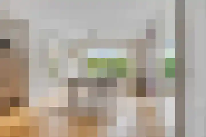 Johannes Vermeerhage 27 Nieuwegein thumbnail 4
