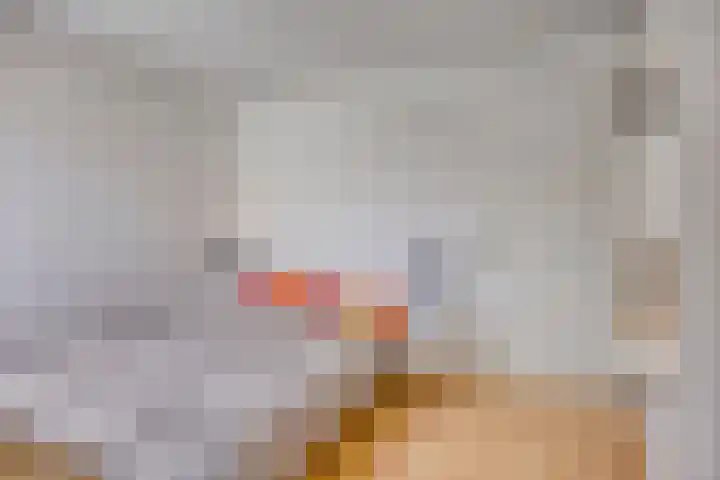 Johannes Vermeerhage 27 Nieuwegein thumbnail 44