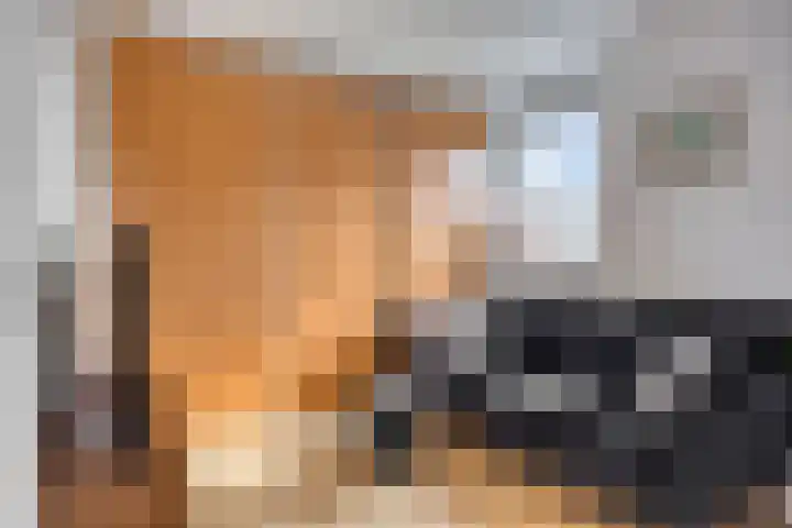 Johannes Vermeerhage 27 Nieuwegein thumbnail 45